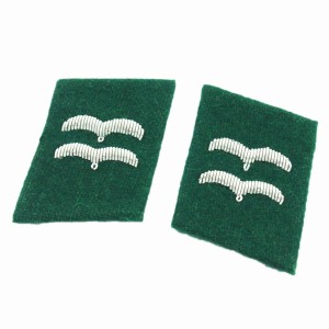 Luftwaffe Field Division Gefreiter Collar Tabs - Green