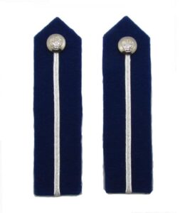 Gorget Patch Badge Silver on Blue