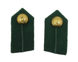 Green RADC Gorgets Clip-On Royal Army Dental Corps Officer Collar Insignia