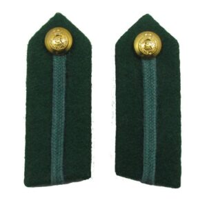 Green RADC Gorgets Royal Army Dental Corps Officer Collar Insignia